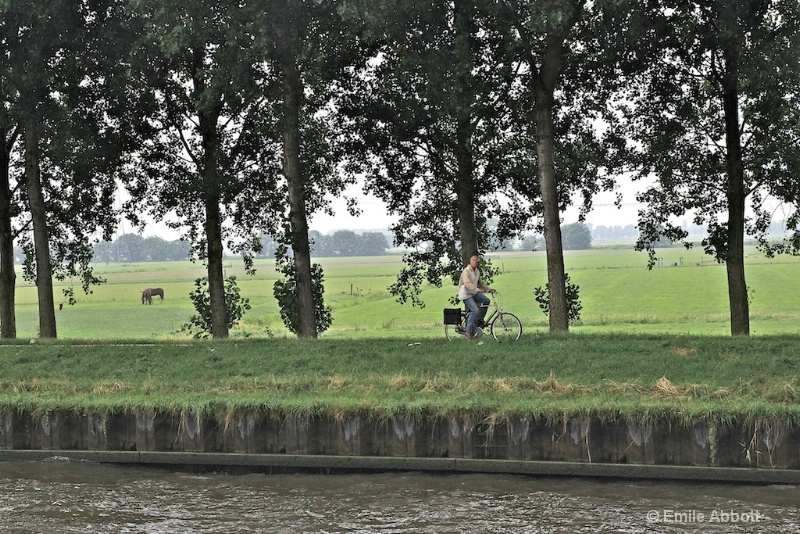 Bike rider and horses along the Kanaal route