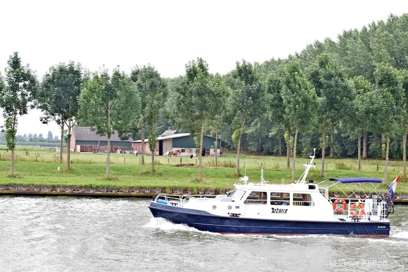 Horses and speed boat on Amsterdam Kanaal