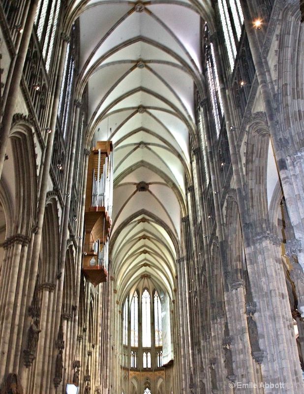 Ceiling Panel of pointed arches, Pipe organ left