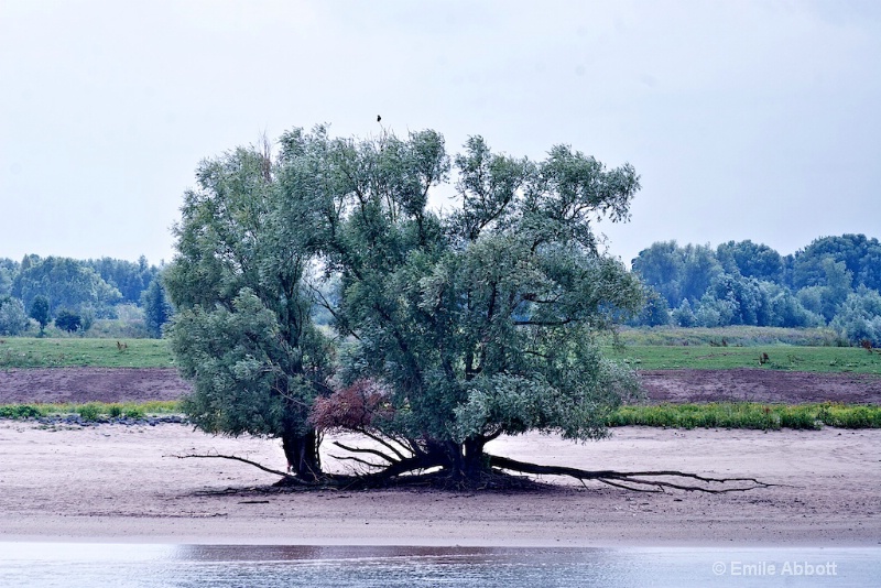 Along Rhine