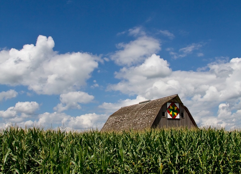 In the Corn II