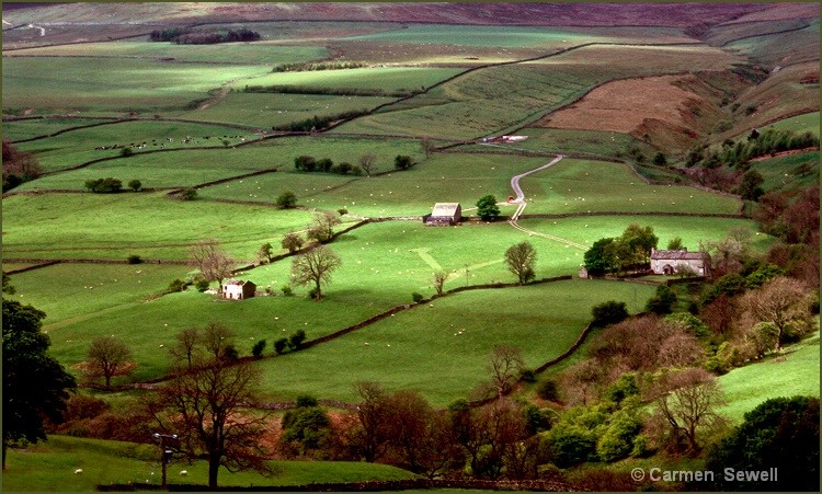 Yorkshire Dale