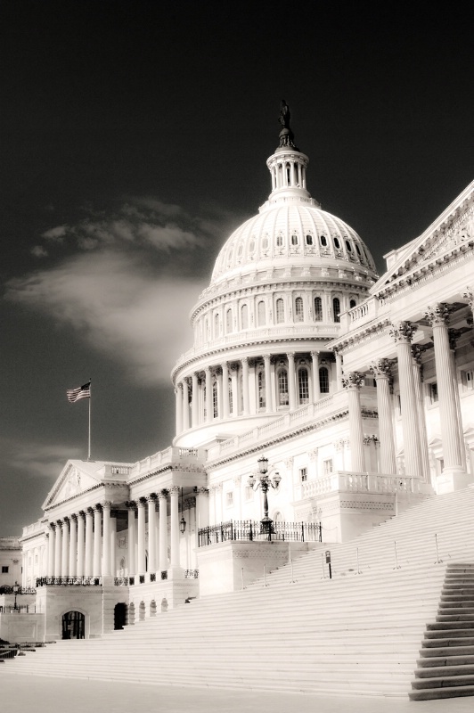 U.S. Capital Artwork