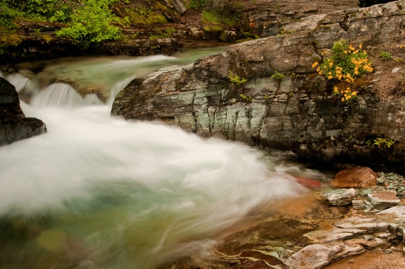 Mountain Stream