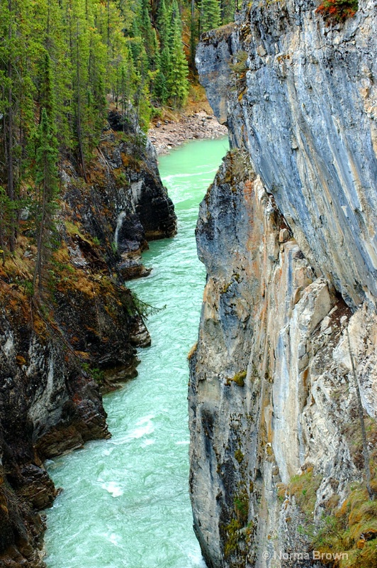Canyon in Jasper NP, Canada