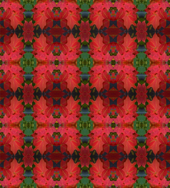 44