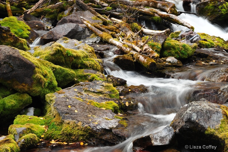waterfall with moss