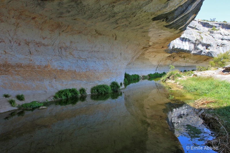 Paint Shelter  "Quadruple Reflected Image"