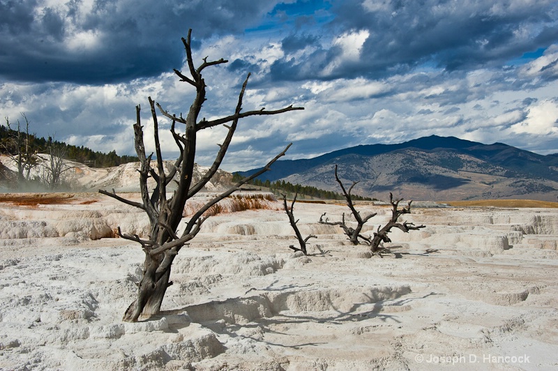 d700 1754 Mammoth Springs