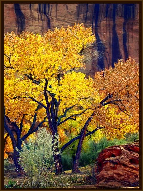 Fall in Canyon deChelly