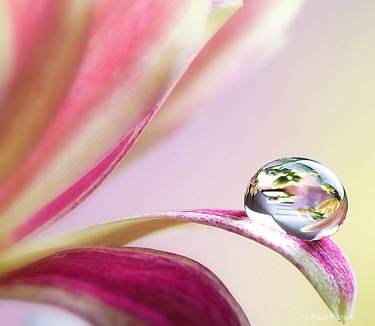 Droplet