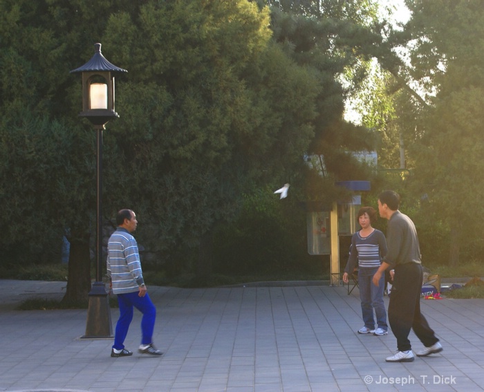 temple park exercising 1