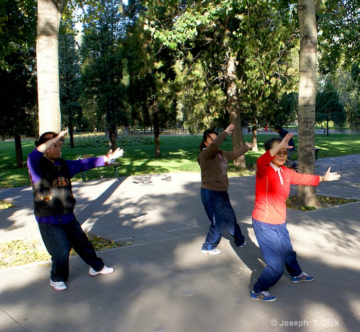 temple park exercising 5