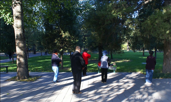 temple park exercising 6