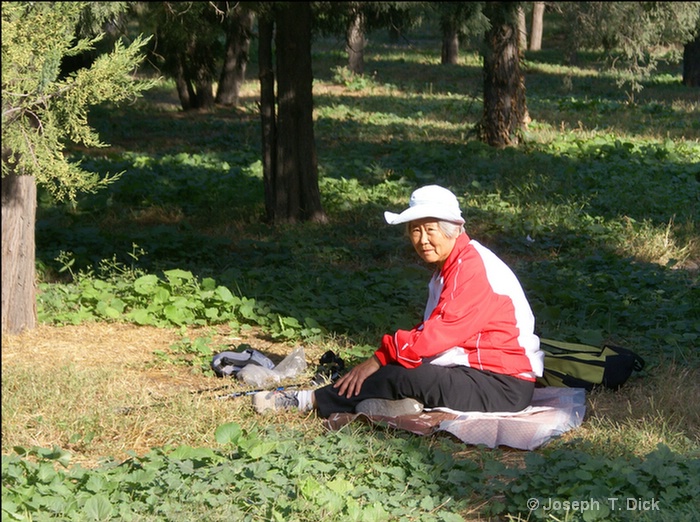 temple park resting 1