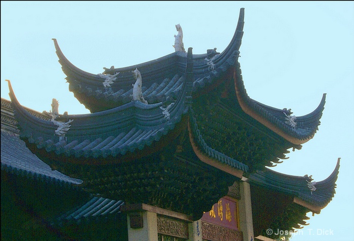 tiger hill roof detail poster