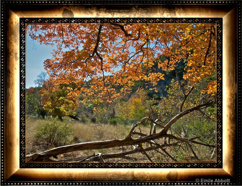 Autumn at Lost Maples State Natural Area