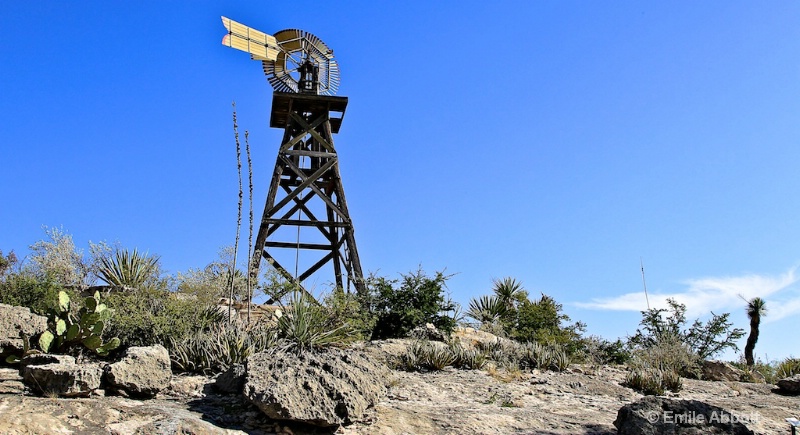 Desert Landscape  Langtry, Texas