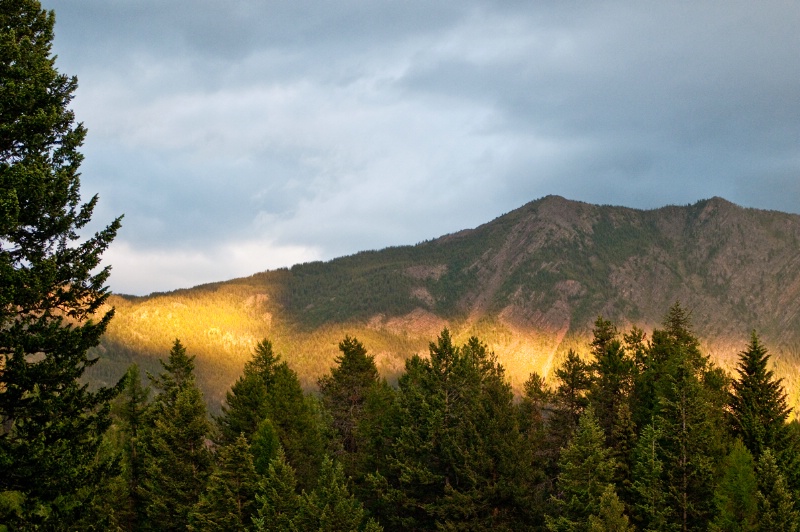 Light in the Mountains