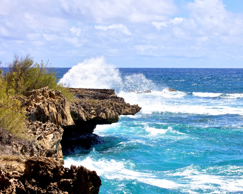 beach in Kaua, Hawaii