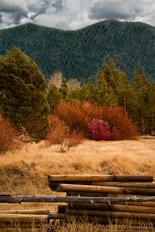 Stormy Skies Over Fall Color