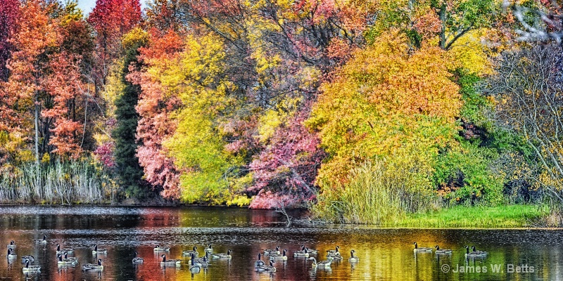 Fall Pond View