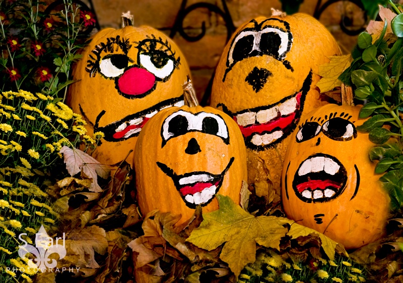 Happy Pumpkin Faces