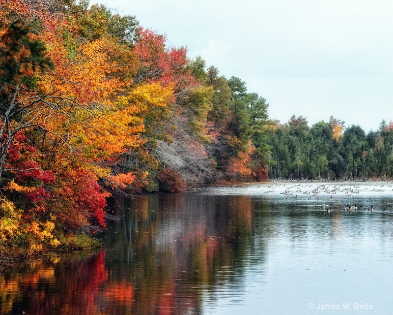 Fall Pond View II