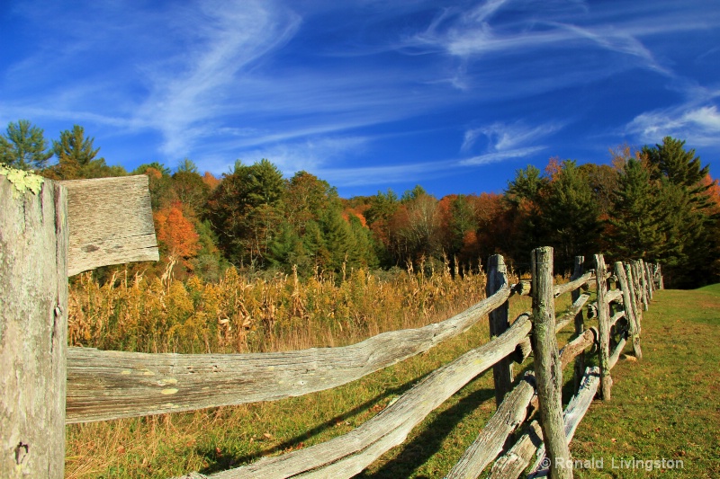 Along the Fence