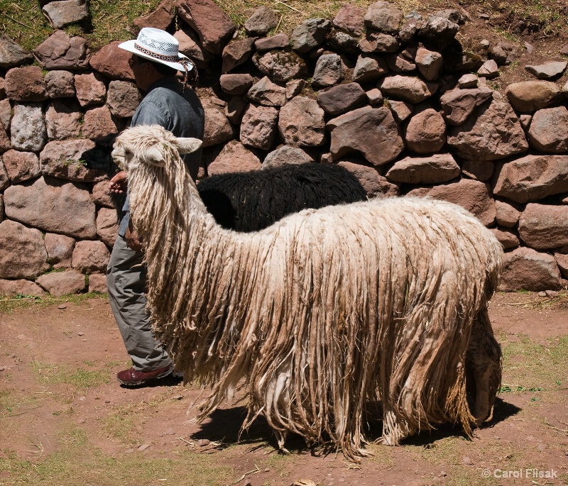 Some Serious Dreadlocks ~ Cusco, Peru