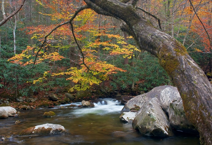 Smoky Mountain Fall