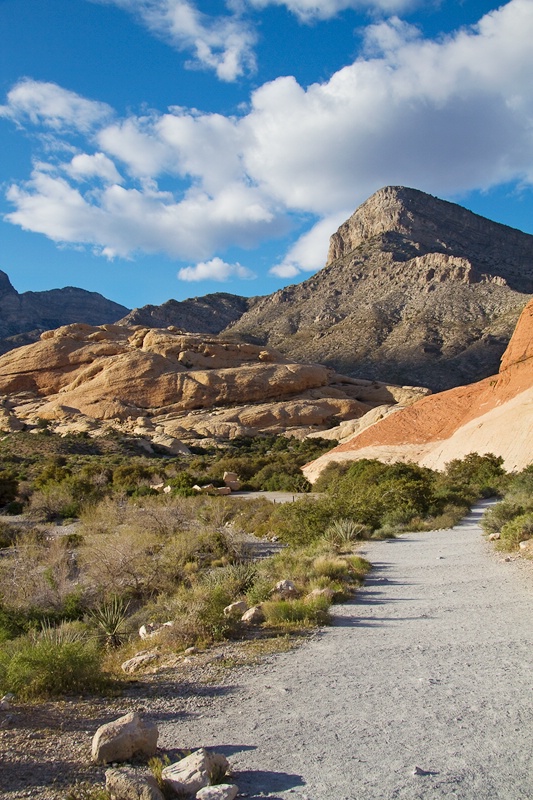 Desert Highlands