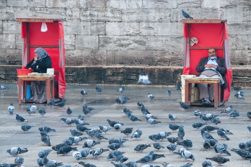 Plate Sellers