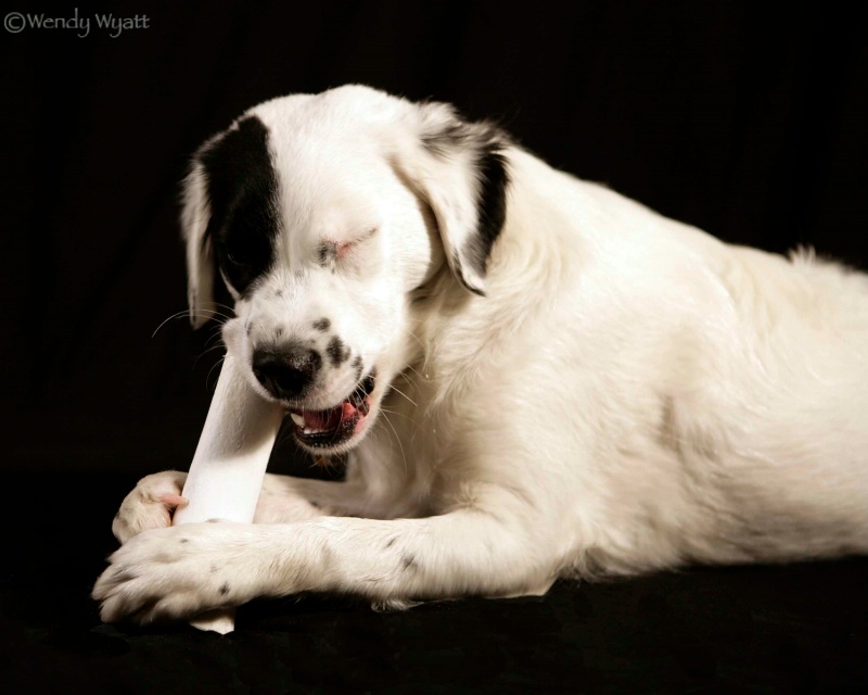 Heavenly Bone