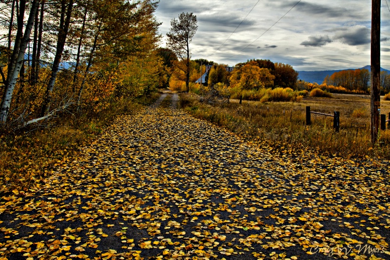 Paved With Gold