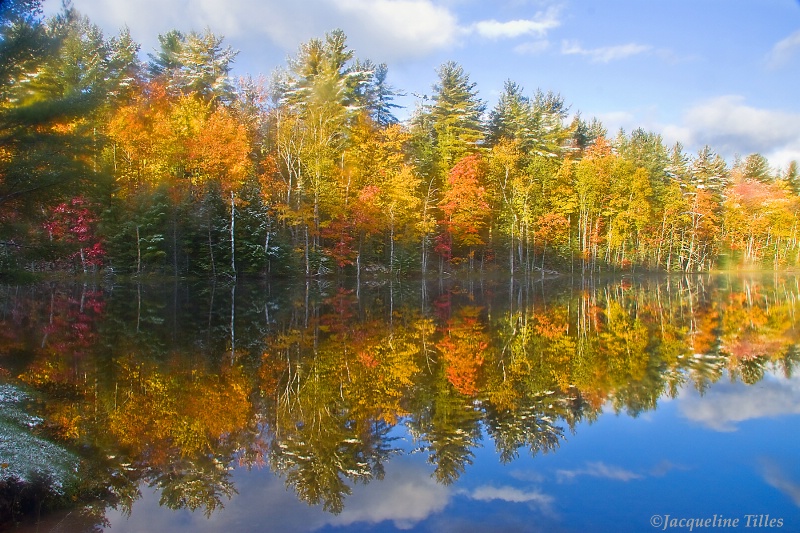 Council Lake Reflection