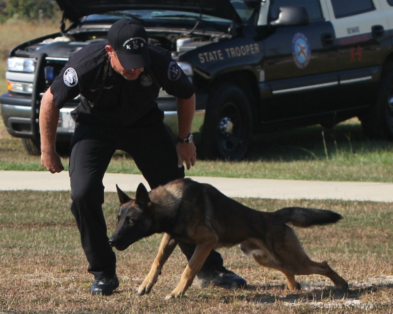                          Florida Highway Patrol K9