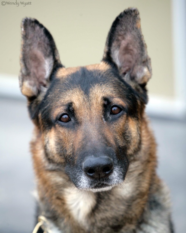 Gunner