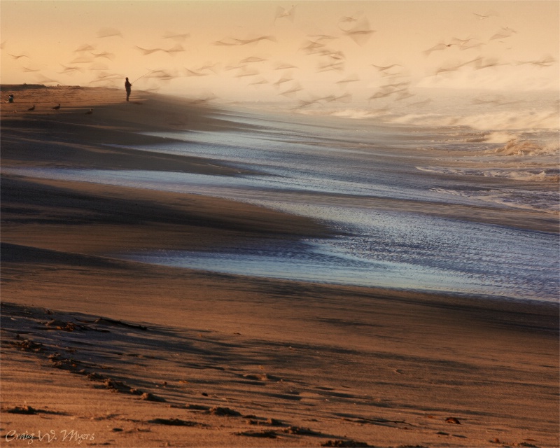 Surf Fishing