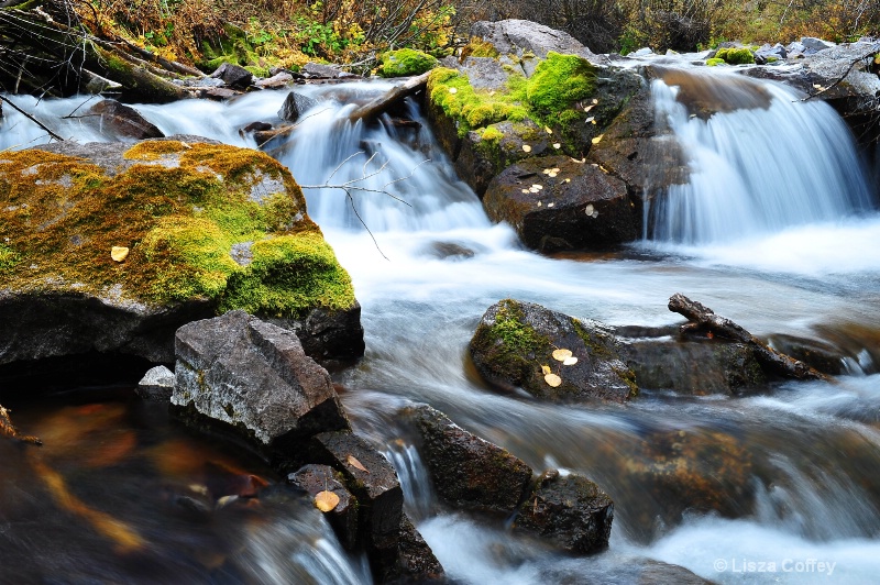 Mossy Falls