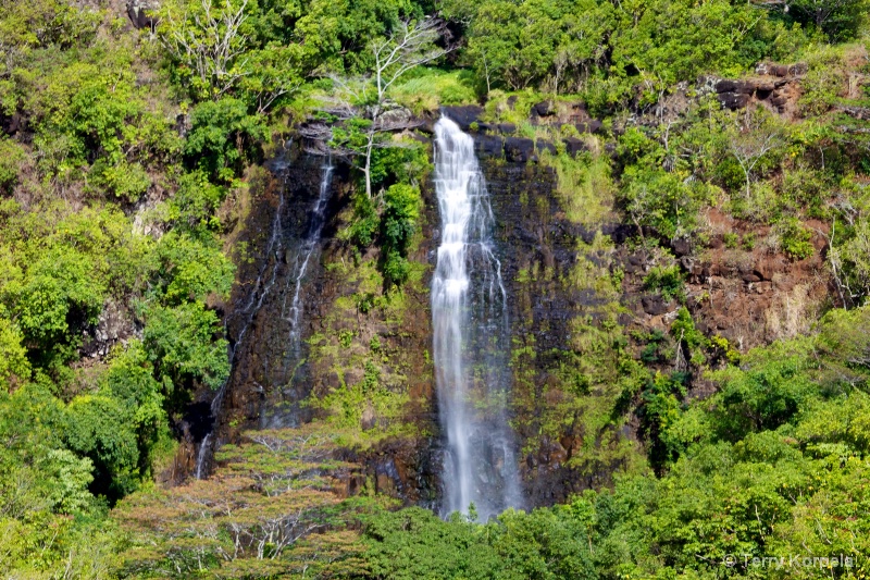 Waterfall in Kauai, Hawaii