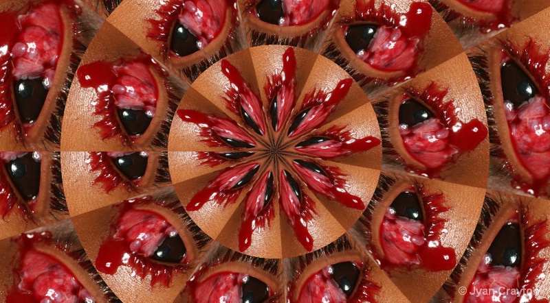 24