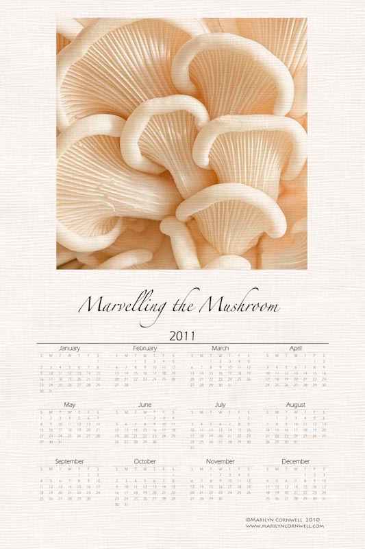 Marvelling the Mushroom 2011 Calendar