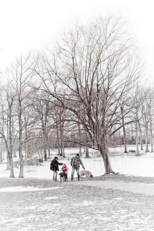 Snow Muses