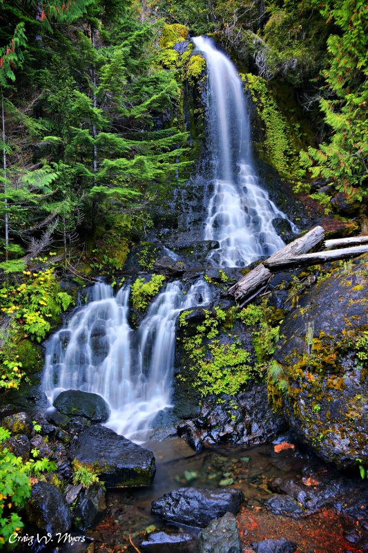 Roadside Falls - Rainier NP