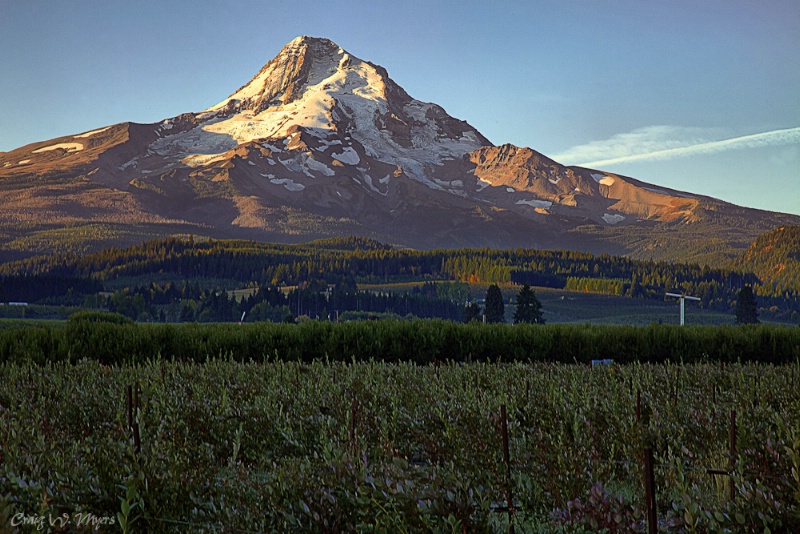 Mt. Hood Morning