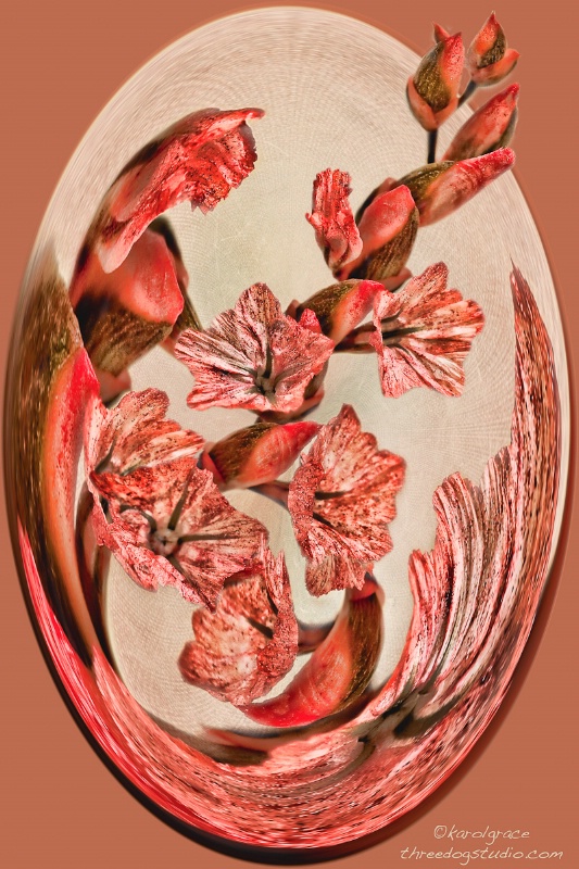 Flowers in an Oval