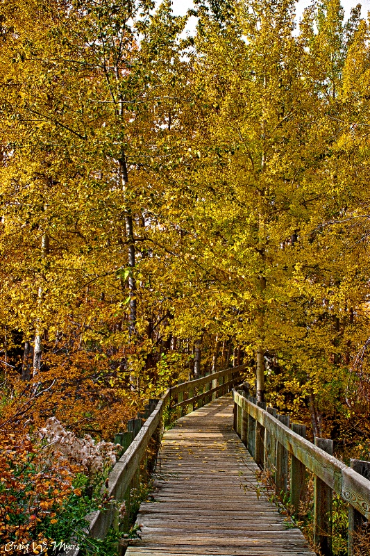 Self-Guided Nature Trail