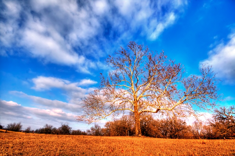 Sky - Blue