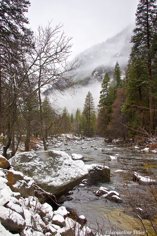 Snow on Rocky Bank